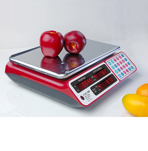 Camry Hanging Scale – Dx-Resources, Scales